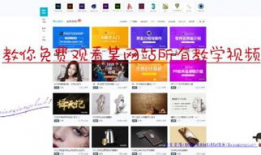 网页视频,一窥全貌